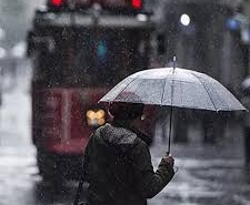 17597570031881481489