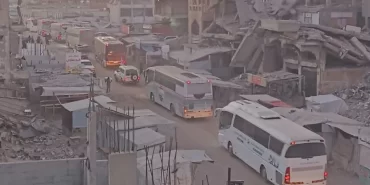 17603427882021466809