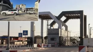 8a56c3ba-txm27auy31p4h2djs3o2g