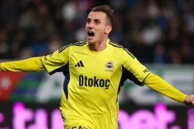 17639713221086319077