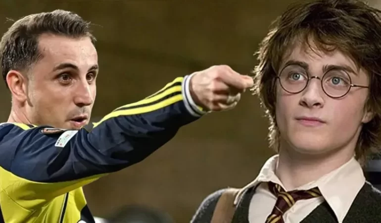 17639759182067865745