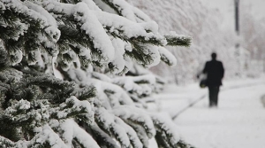 19289291-860x480-bpae