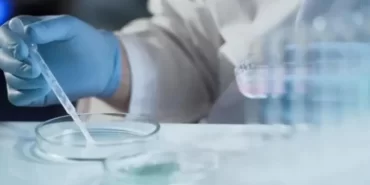 69399f6854ebc521__w1200xh674