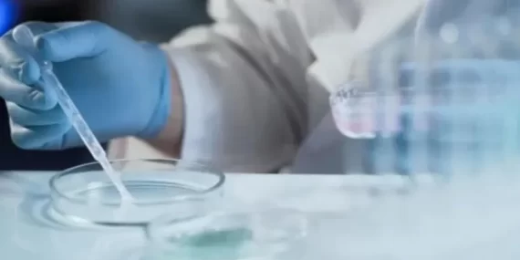 69399f6854ebc521__w1200xh674