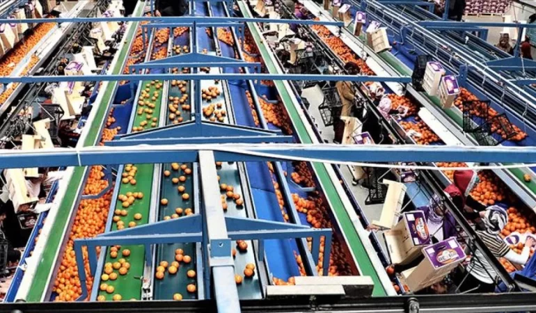 ihrac-gidalarimiz-da-abye-giremiyor-4unden-3u-riskli-ct34